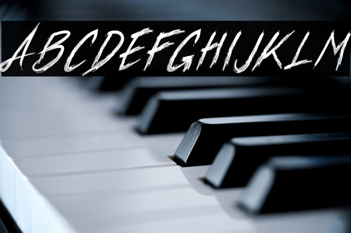 Xander Bruce Demo Example 1