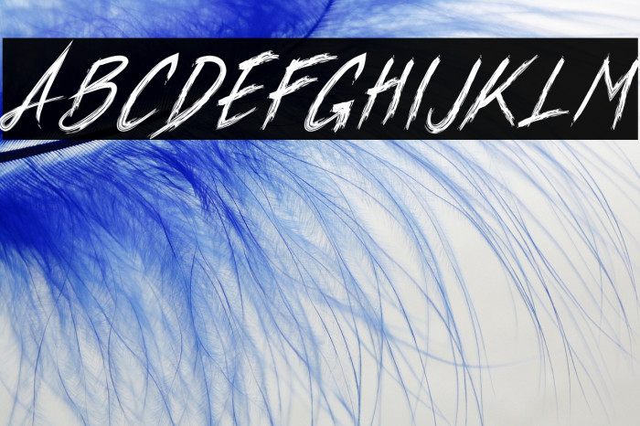 Xander Bruce Demo Example 2