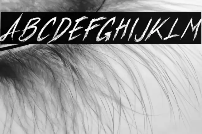 Xander Bruce Demo フォント examples