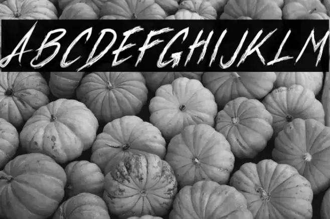 Xander Bruce Demo フォント examples