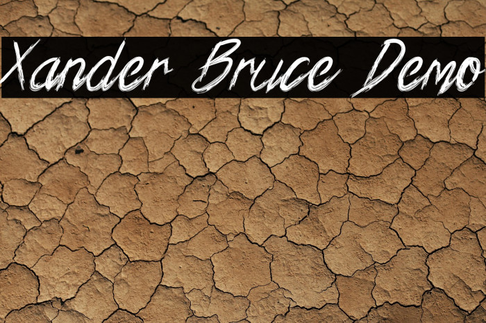 Xander Bruce Demo Example 2