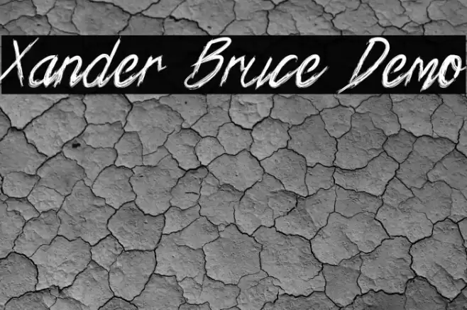Xander Bruce Demo Schriftart examples