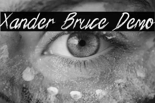 Xander Bruce Demo Schriftart examples