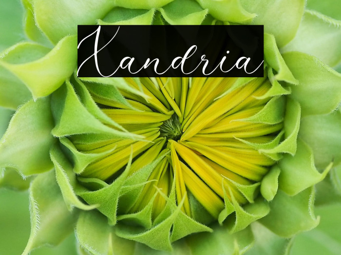 Xandria Example 3