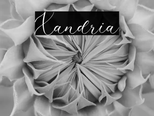 Xandria Font examples