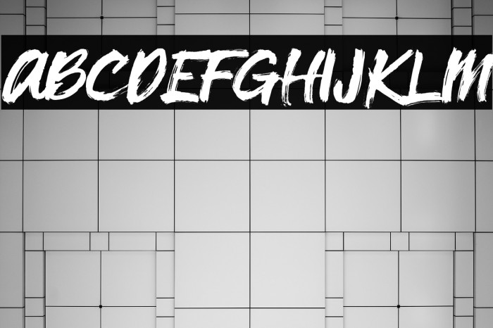 Xangda Shiny Font examples