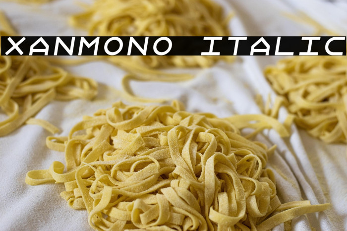 Xanmono Italic Example 1