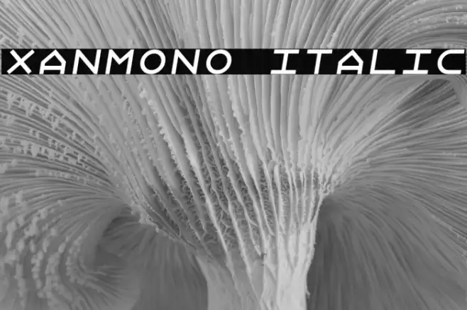 Xanmono Italic Font examples