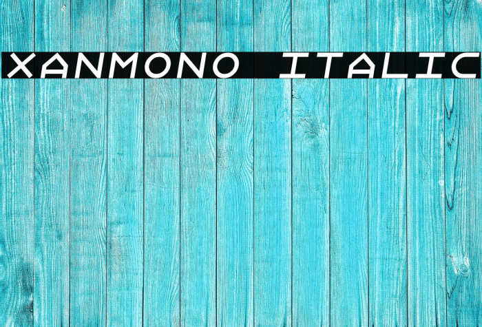 Xanmono Italic Example 3