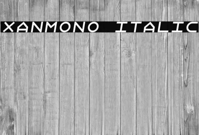 Xanmono Italic Font examples