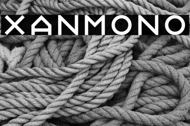 Xanmono Example 1
