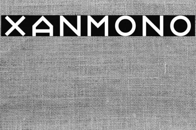 Xanmono Example 2
