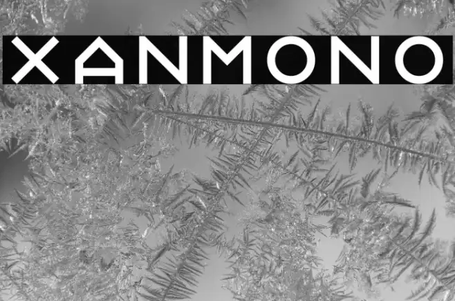 Xanmono Example 3