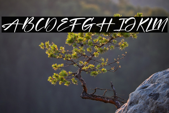 Xantegrode Signature Example 2