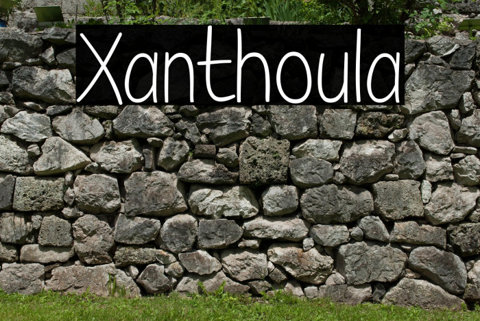 Xanthoula Example 3