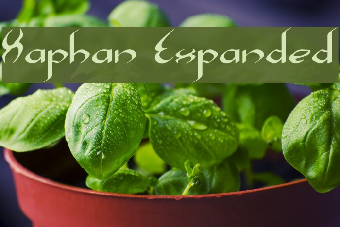 Xaphan Expanded Font examples