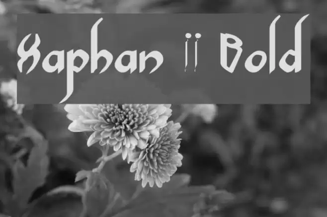 Xaphan II Bold Font examples