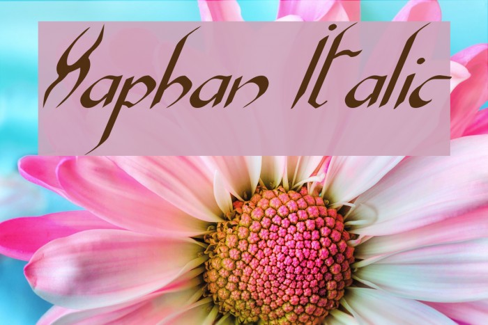 Xaphan Italic Font examples