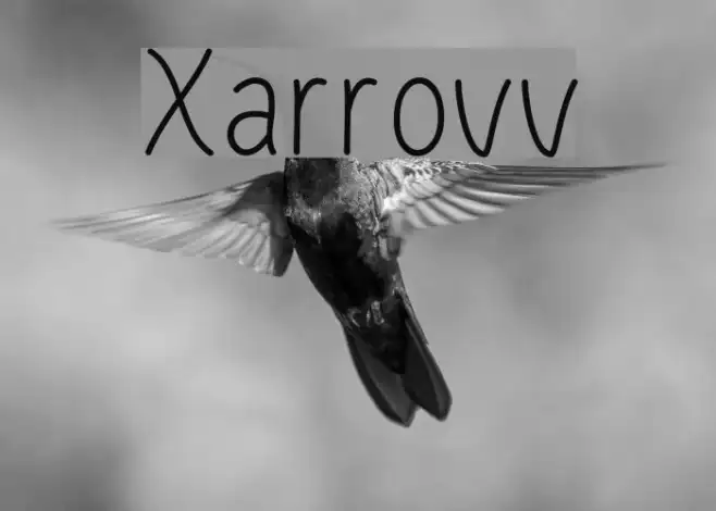 Xarrovv Example 3