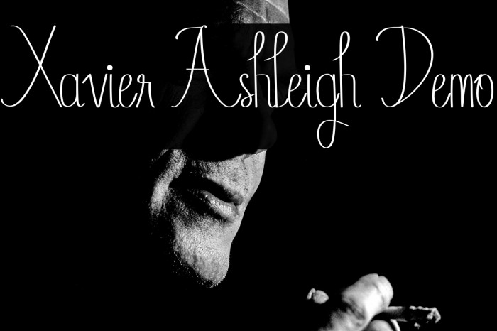 Xavier Ashleigh Demo Example 1