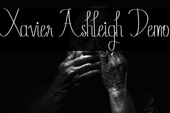 Xavier Ashleigh Demo Example 2