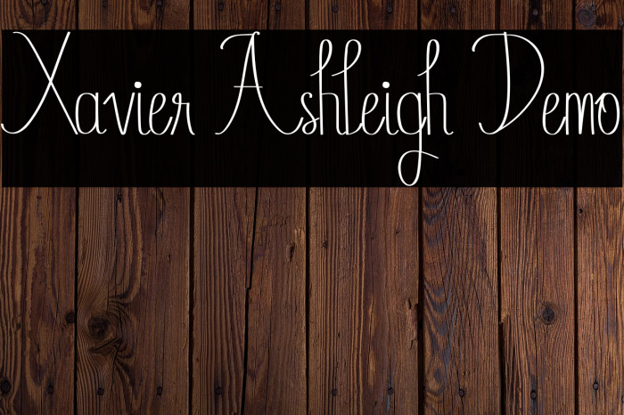 Xavier Ashleigh Demo Example 3