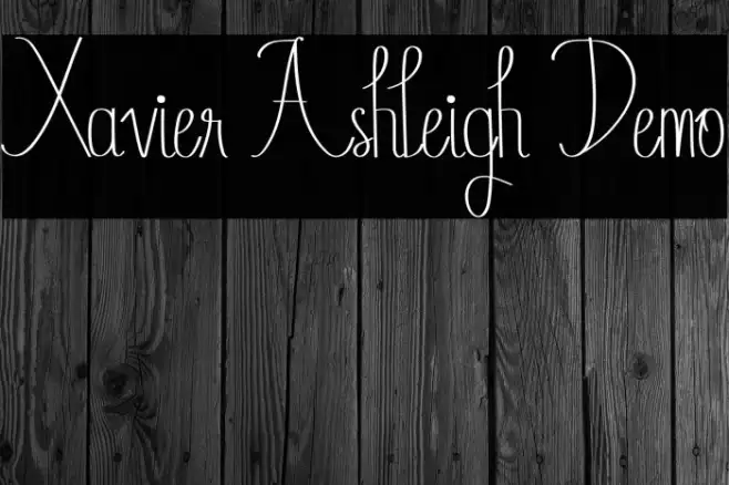 Xavier Ashleigh Demo Example 3