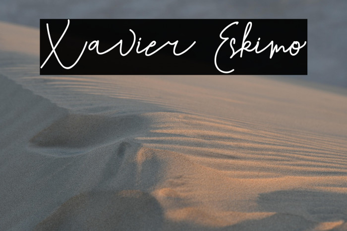Xavier Eskimo Example 2