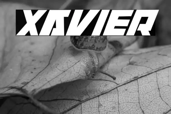 Xavier Example 2