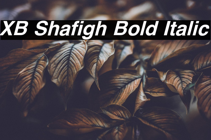 XB Shafigh Bold Italic Example 1