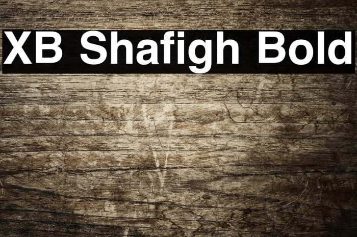 XB Shafigh Bold Example 1