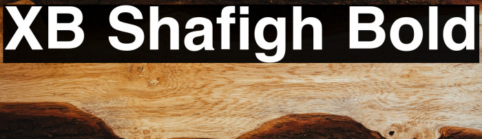XB Shafigh Bold Example 2
