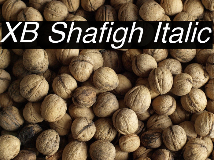 XB Shafigh Italic Example 3