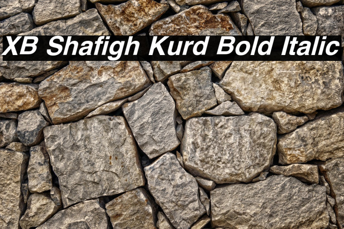 XB Shafigh Kurd Bold Italic Example 3