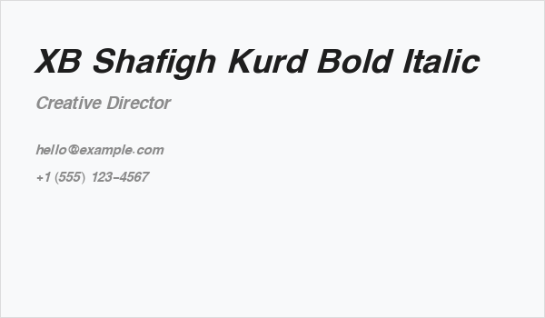 XB Shafigh Kurd Bold Italic Business Card