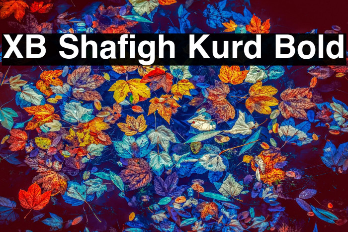 XB Shafigh Kurd Bold Example 2