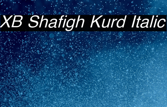 XB Shafigh Kurd Italic Example 2