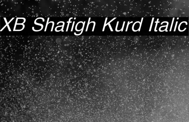 XB Shafigh Kurd Italic Font examples