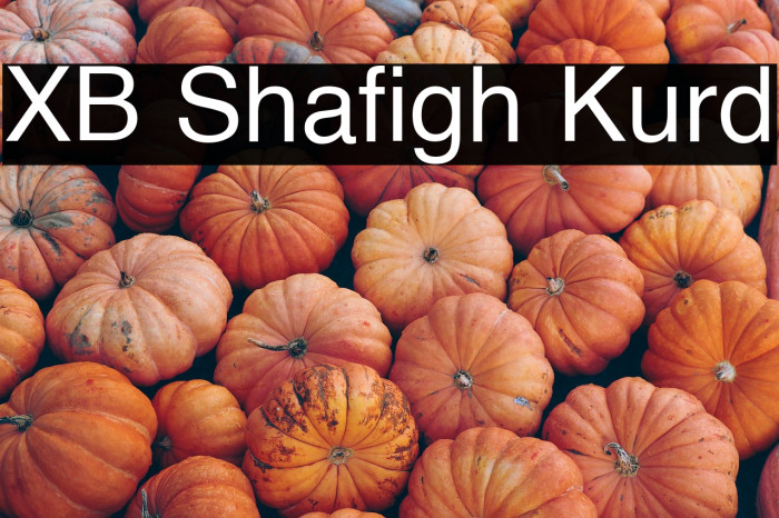 XB Shafigh Kurd Example 1