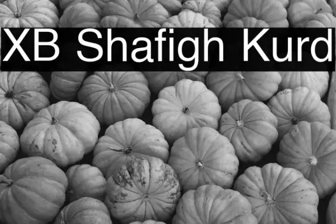 XB Shafigh Kurd Font examples
