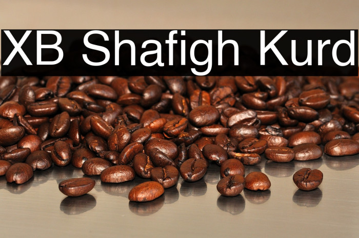 XB Shafigh Kurd Example 2