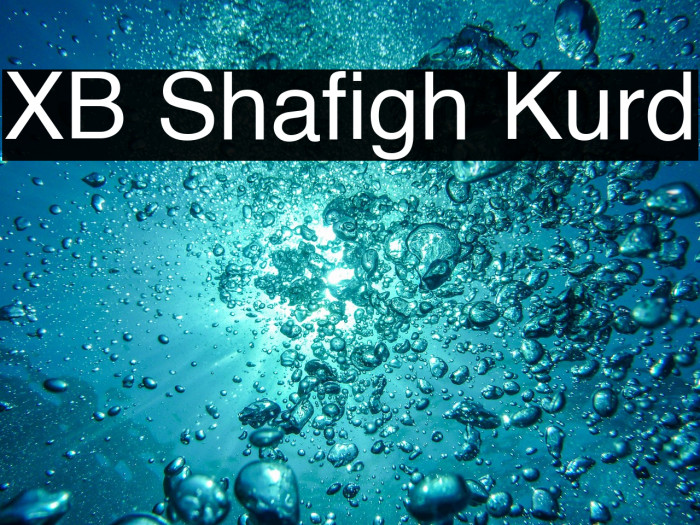 XB Shafigh Kurd Example 3