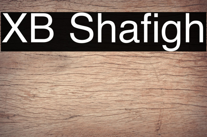 XB Shafigh Example 1