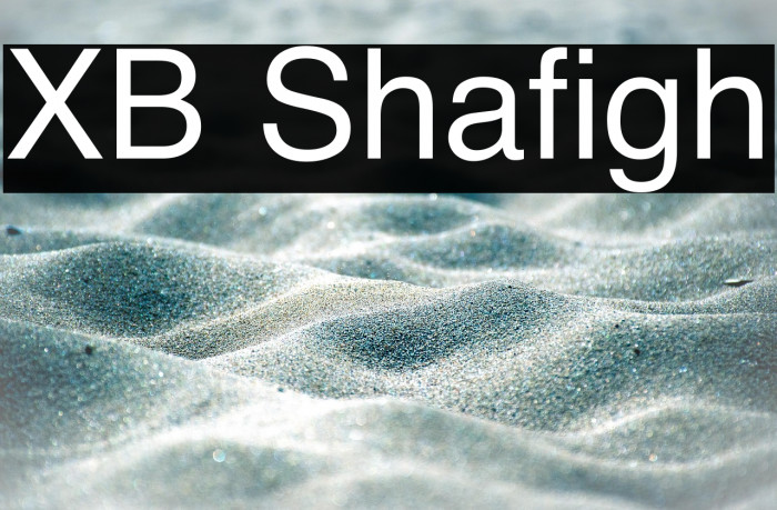 XB Shafigh Example 2
