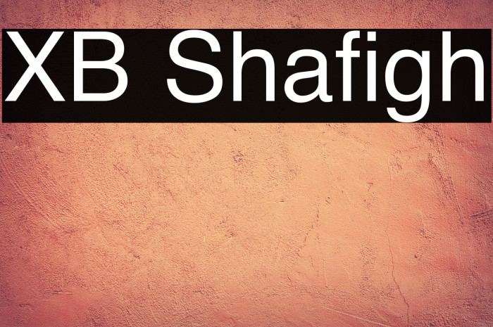 XB Shafigh Example 3