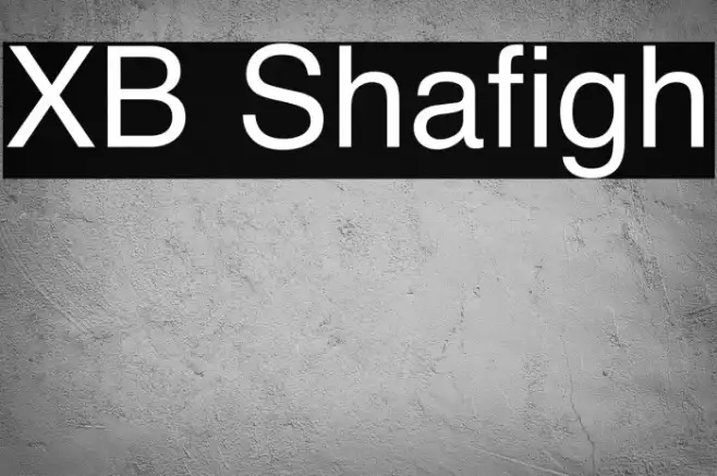 XB Shafigh Example 3