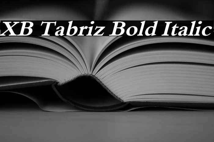 XB Tabriz Bold Italic Example 2