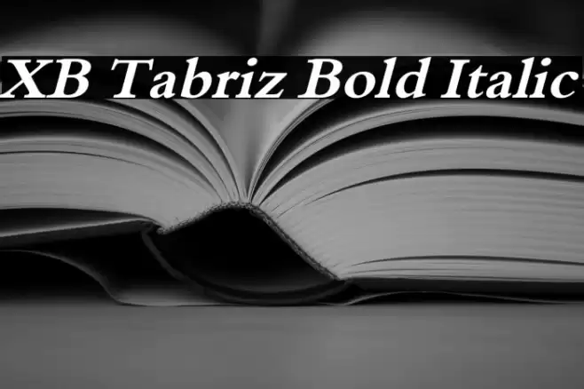 XB Tabriz Bold Italic Font examples