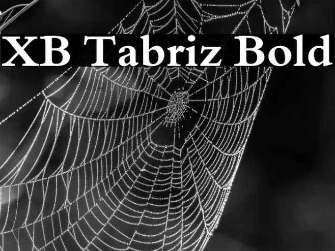 XB Tabriz Bold Font examples