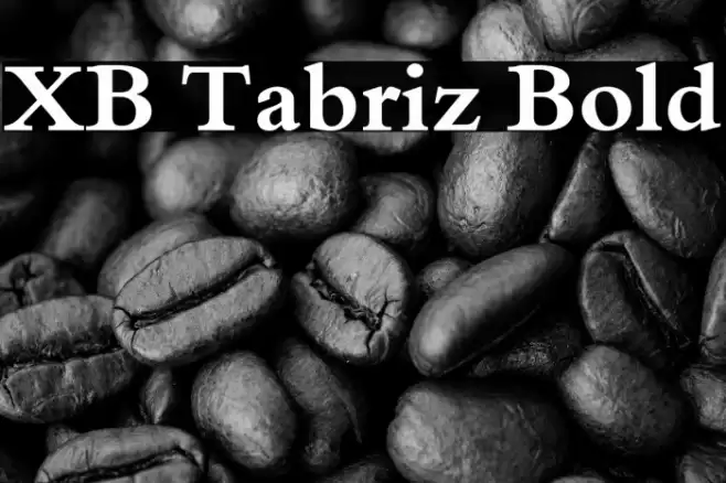 XB Tabriz Bold Font examples